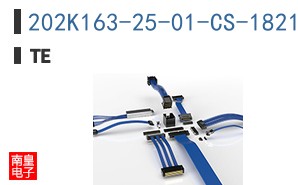 202K163-25-01-CS-1821-0