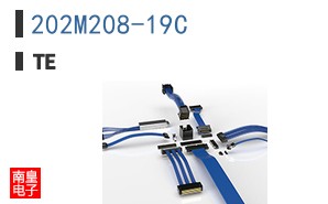 202M208-19C