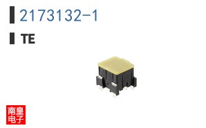 2173132-1