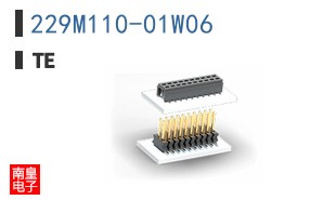 229M110-01W06