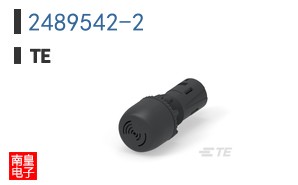 2489542-2