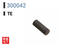 300042