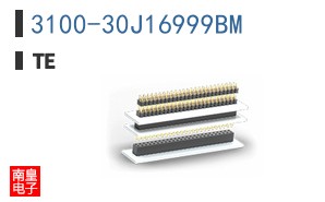 3100-30J16999BM