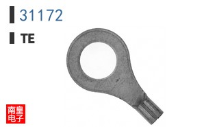 31172