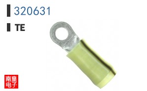 320631
