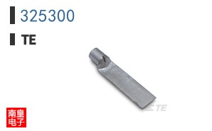 325300
