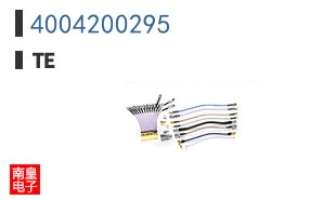 4004200295