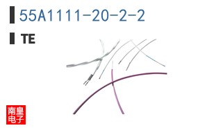 55A1111-20-2-2