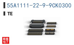55A1111-22-9-9CK0300