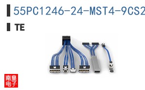 55PC1246-24-MST4-9CS2861
