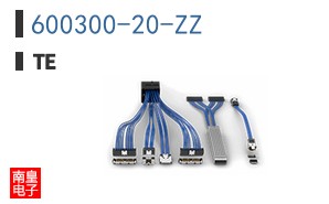 600300-20-ZZ