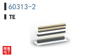 60313-2