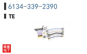 6134-339-2390