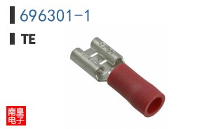 696301-1