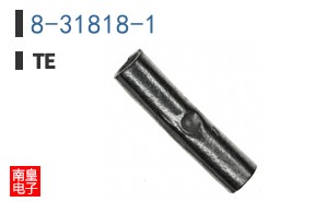 8-31818-1