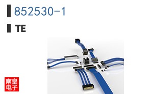 852530-1
