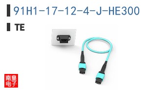 91H1-17-12-4-J-HE300