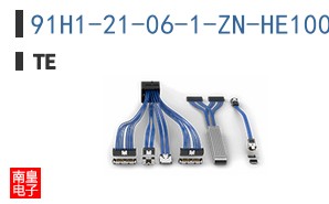91H1-21-06-1-ZN-HE100