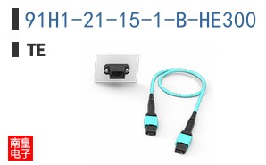 91H1-21-15-1-B-HE300