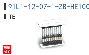 91L1-12-07-1-ZB-HE100