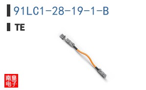 91LC1-28-19-1-B