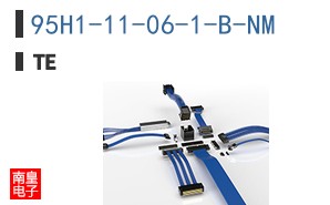 95H1-11-06-1-B-NM