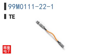 99M0111-22-1