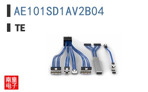 AE101SD1AV2B04