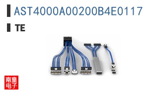 AST4000A00200B4E0117