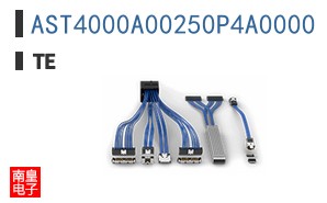 AST4000A00250P4A0000