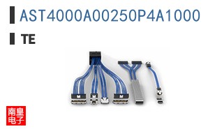 AST4000A00250P4A1000