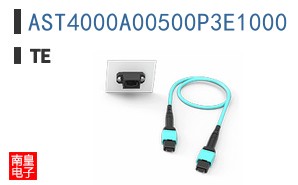 AST4000A00500P3E1000