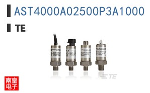 AST4000A02500P3A1000