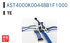 AST4000K00448B1F1000