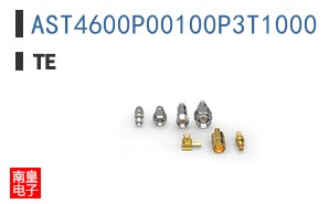AST4600P00100P3T1000