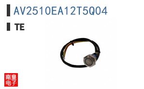 AV2510EA12T5Q04