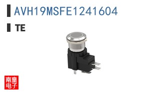 AVH19MSFE1241604