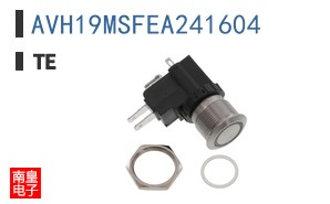 AVH19MSFEA241604