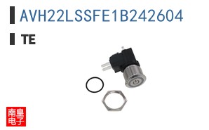 AVH22LSSFE1B242604