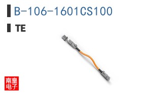 B-106-1601CS100