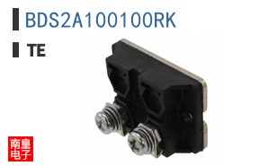 BDS2A100100RK
