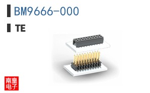 BM9666-000