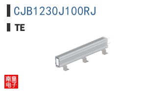 CJB1230J100RJ