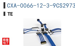 CXA-0066-12-3-9CS2973