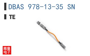 DBAS 978-13-35 SN