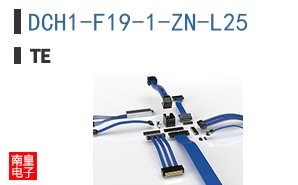 DCH1-F19-1-ZN-L25