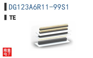 DG123A6R11-99S1