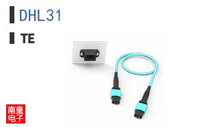 DHL31