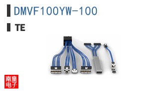 DMVF100YW-100