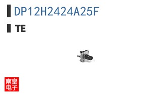 DP12H2424A25F